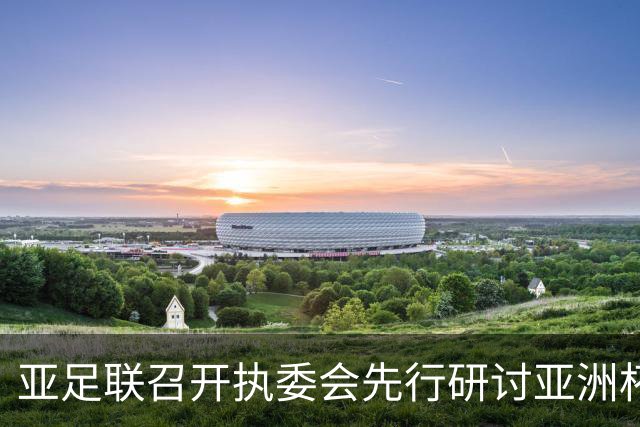 亚足联召开执委会先行研讨亚洲杯延期议题，中国足协主席宋凯参加